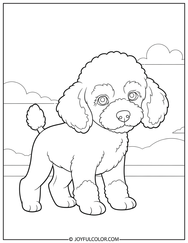 Playful Puppy Poodle Coloring Page