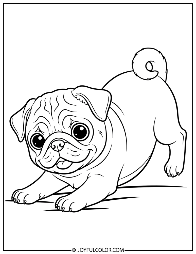 Playful Puppy Pug Coloring Page