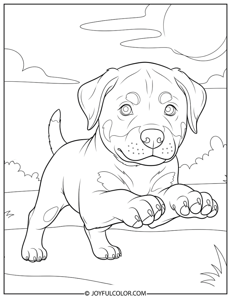 Playful Puppy Rottweiler Coloring Page