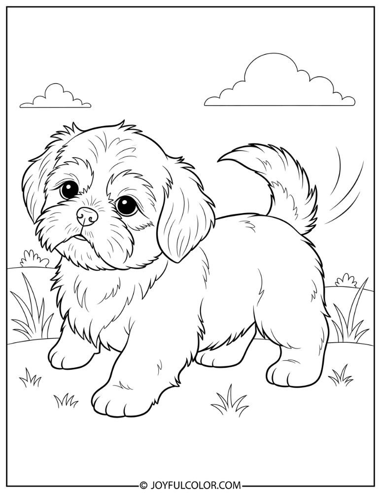 Playful Puppy Shih Tzu Coloring Page