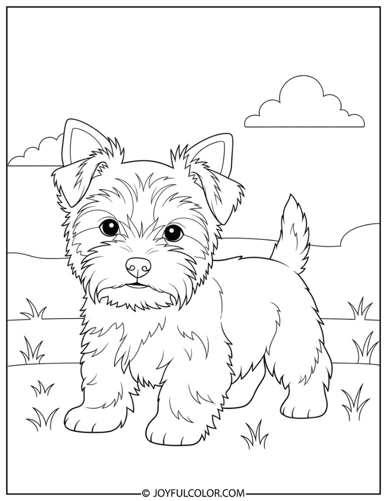 Playful Puppy Yorkie Coloring Page
