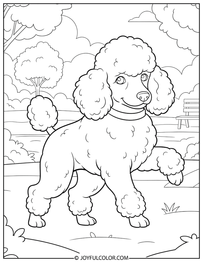 Poodle Playing in Park Coloring Page