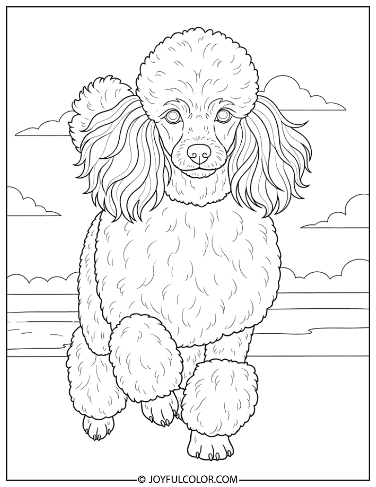 Poodle Running Coloring Page
