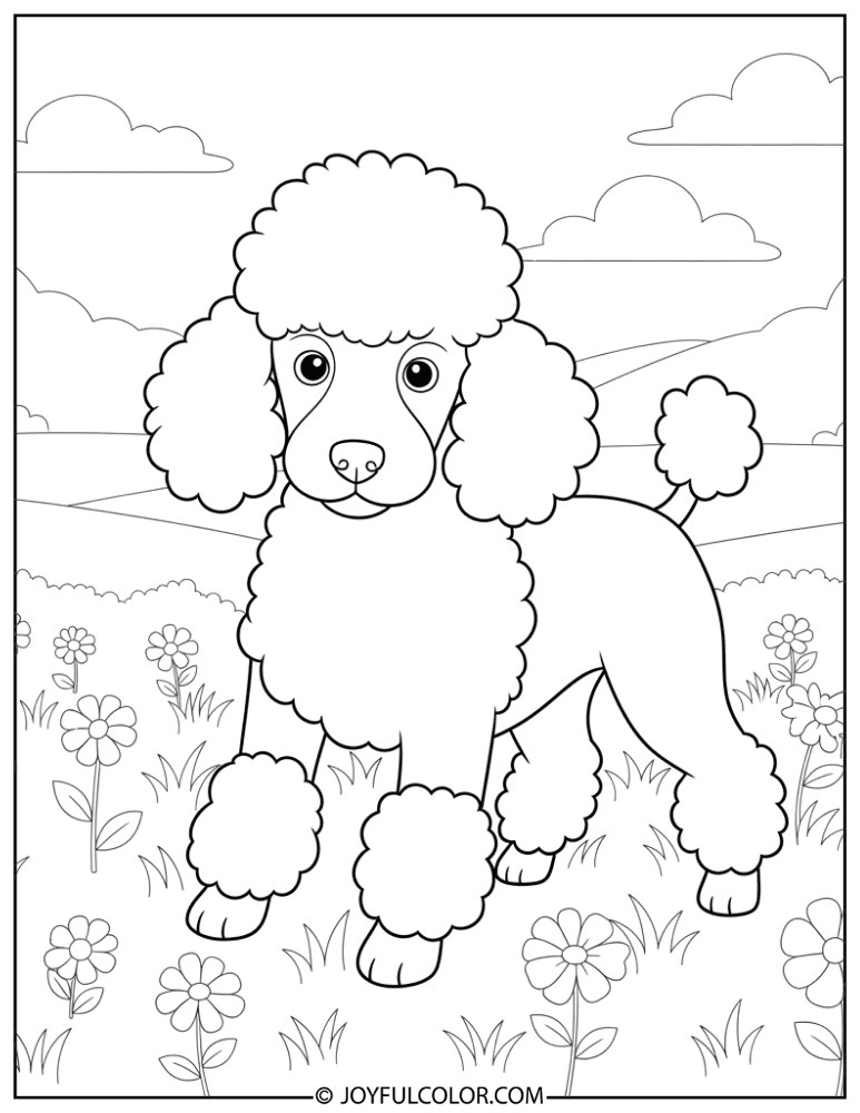 Poodle in Flower Field Coloring Page