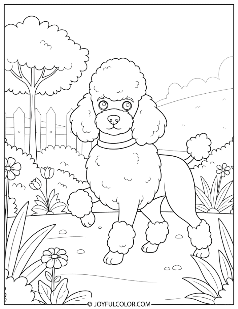 Poodle in Garden Coloring Page