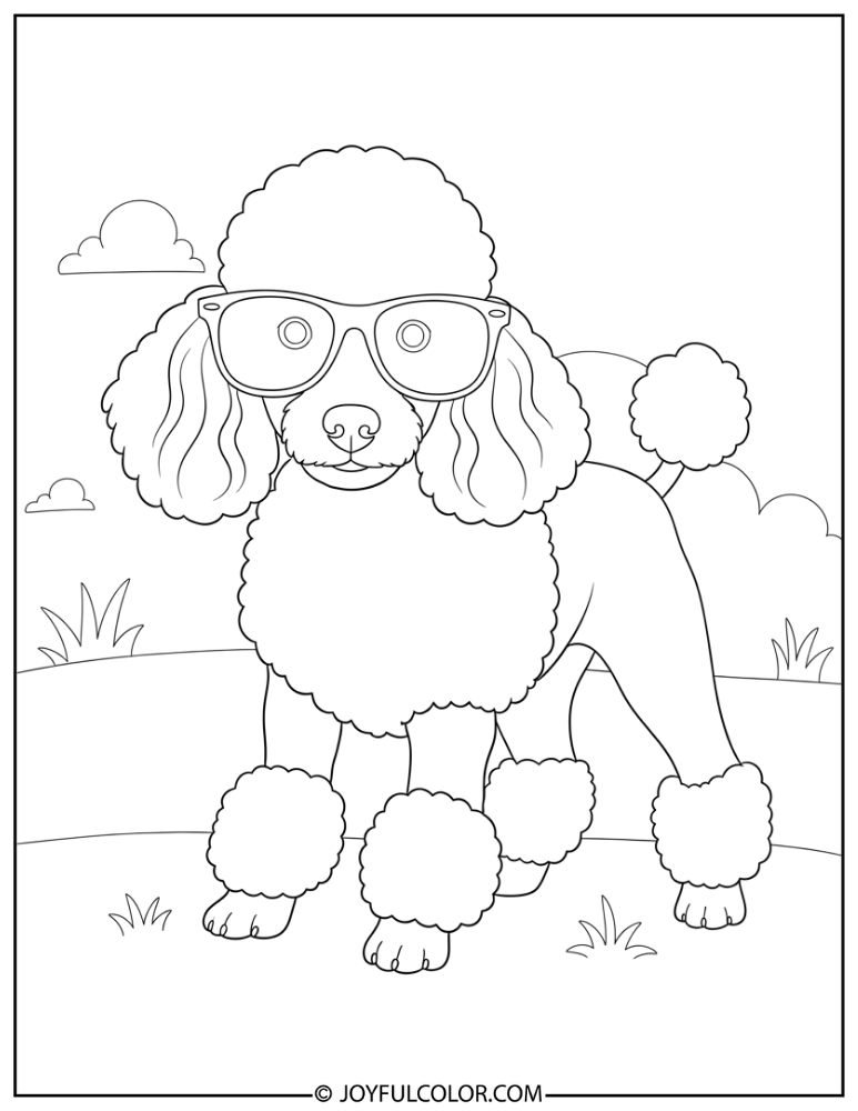 Poodle with Sunglasses Coloring Page
