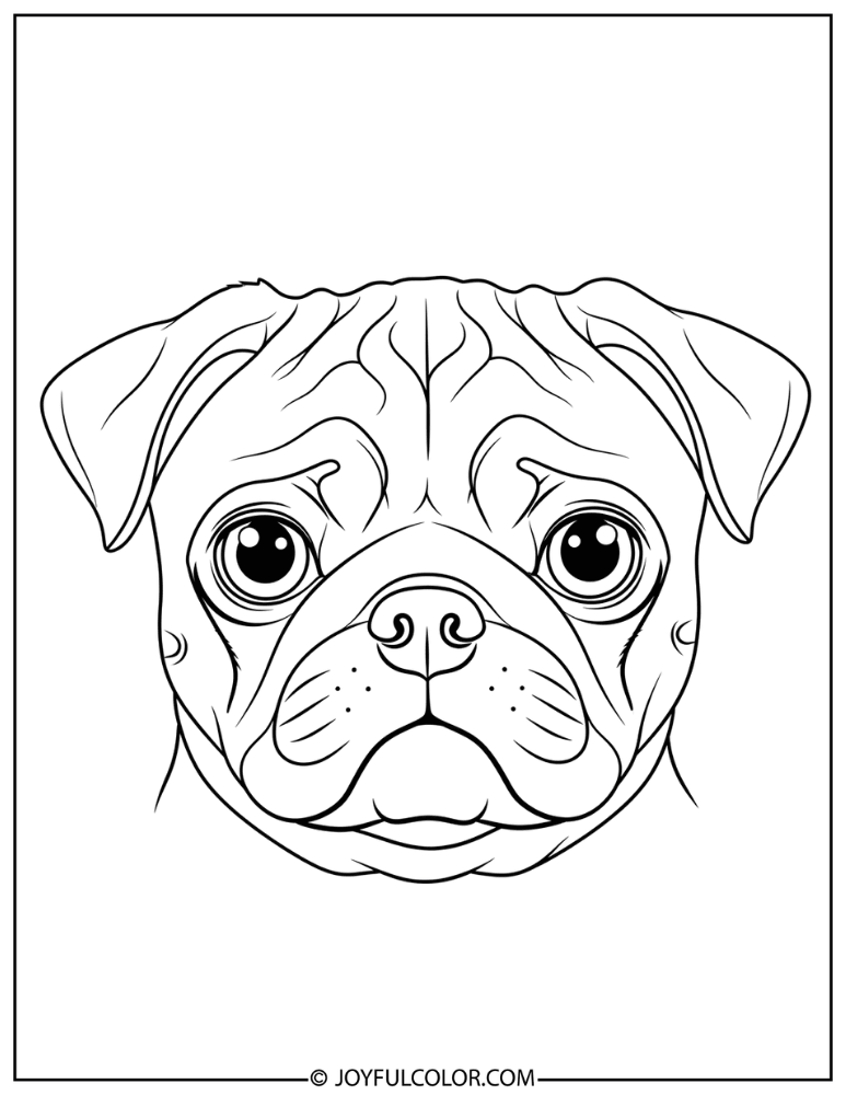 Pug Face Close Up Coloring Page