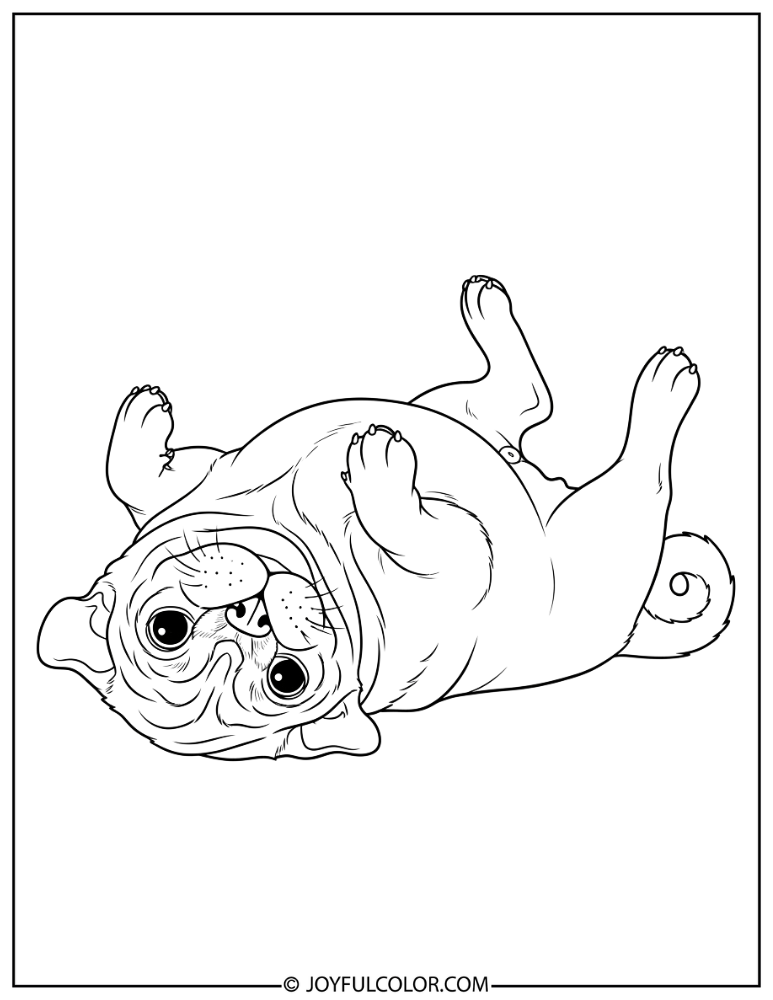 Pug Rolling Over Coloring Page