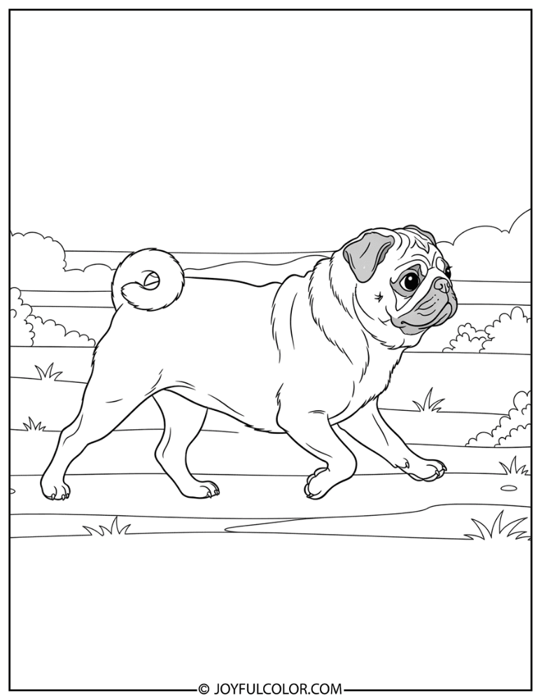 Pug Walking Outside Coloring Page