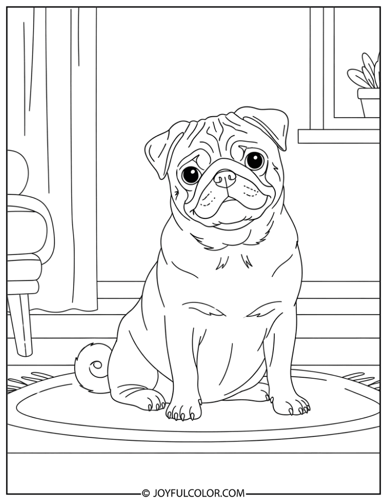 Pug at Home Coloring Page