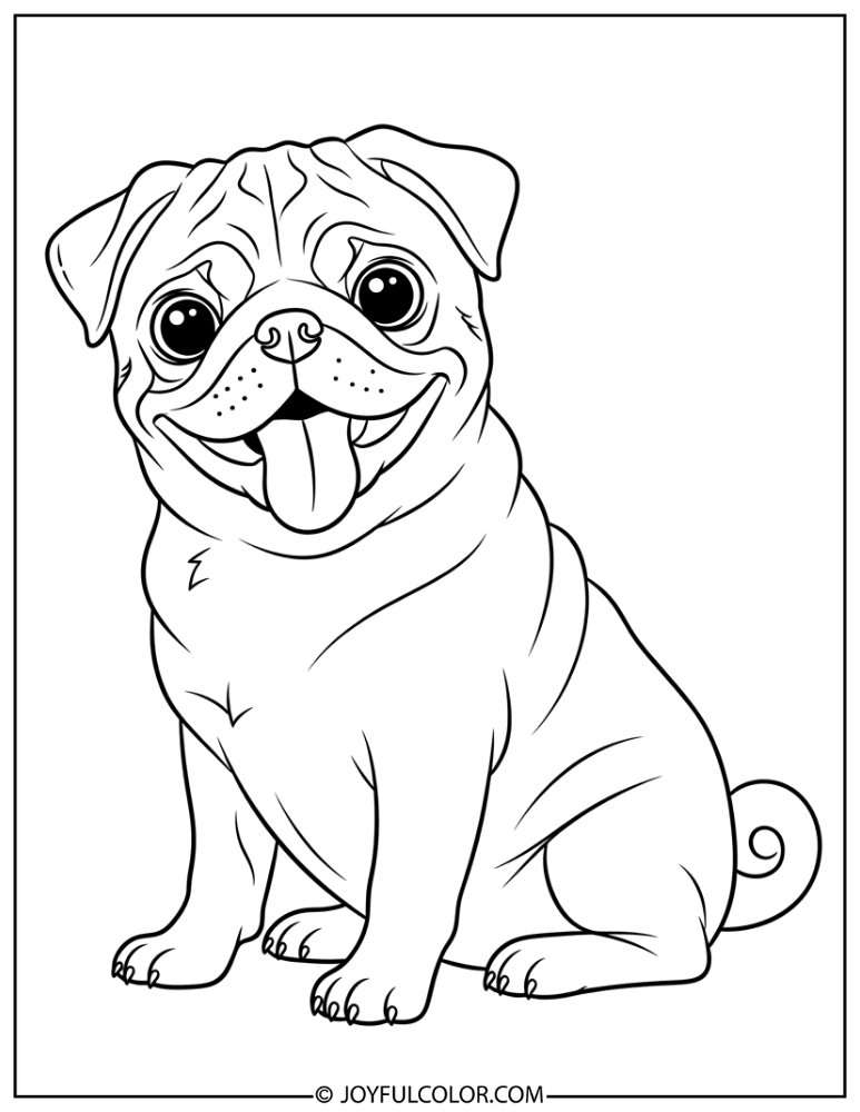Pug with Tongue Out Coloring Page