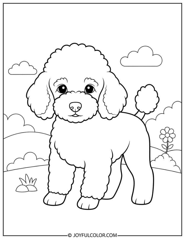 Puppy Cut Poodle Coloring Page