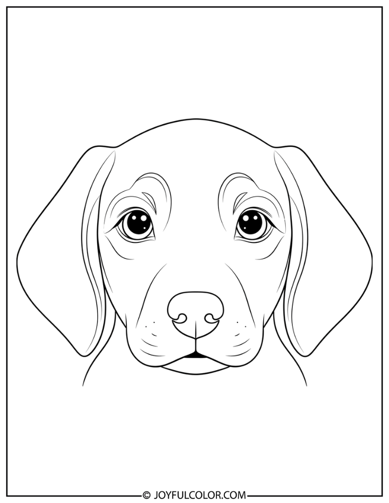 Puppy Face Close-Up Coloring Page