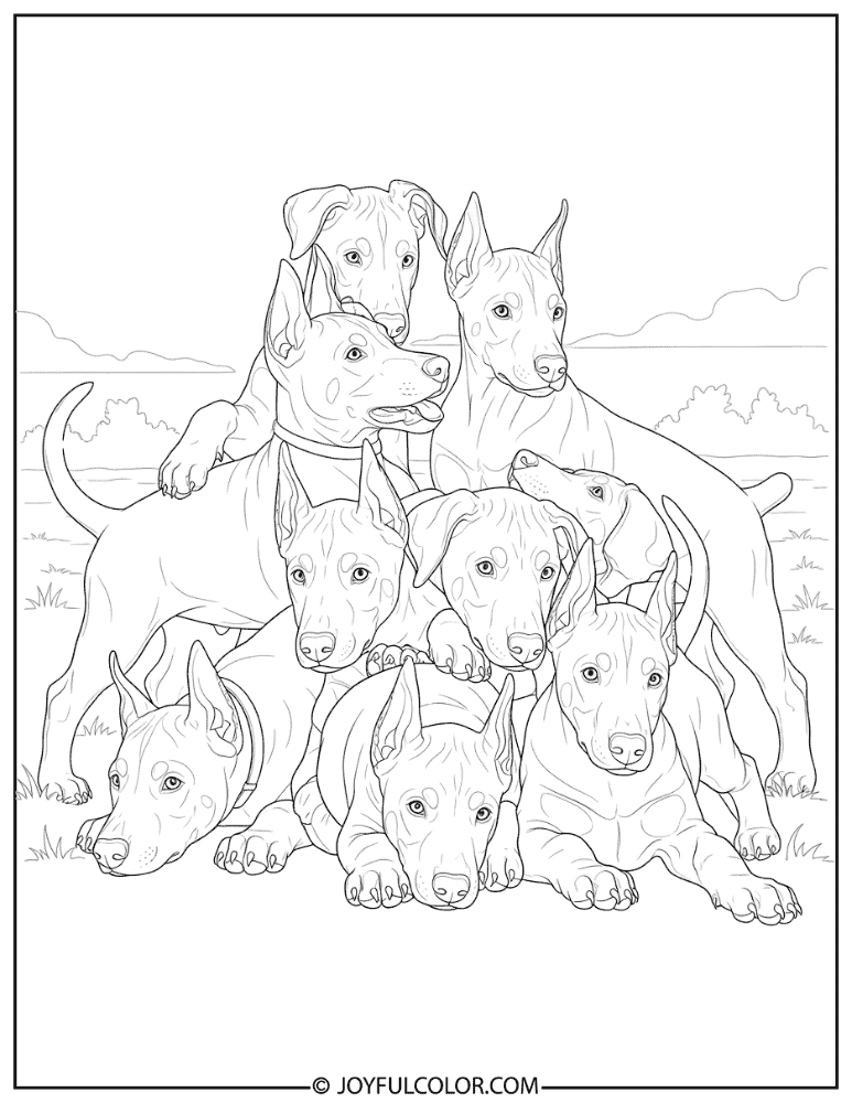Puppy Group Doberman Coloring Page