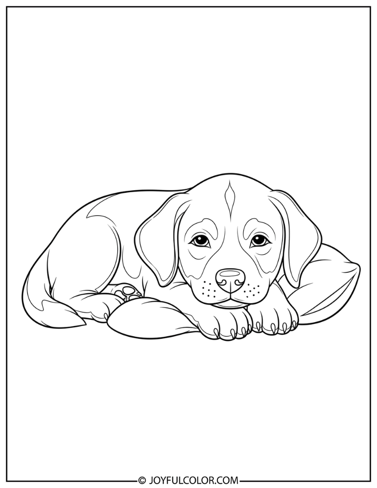 Puppy Lying Down Relaxed Coloring Page