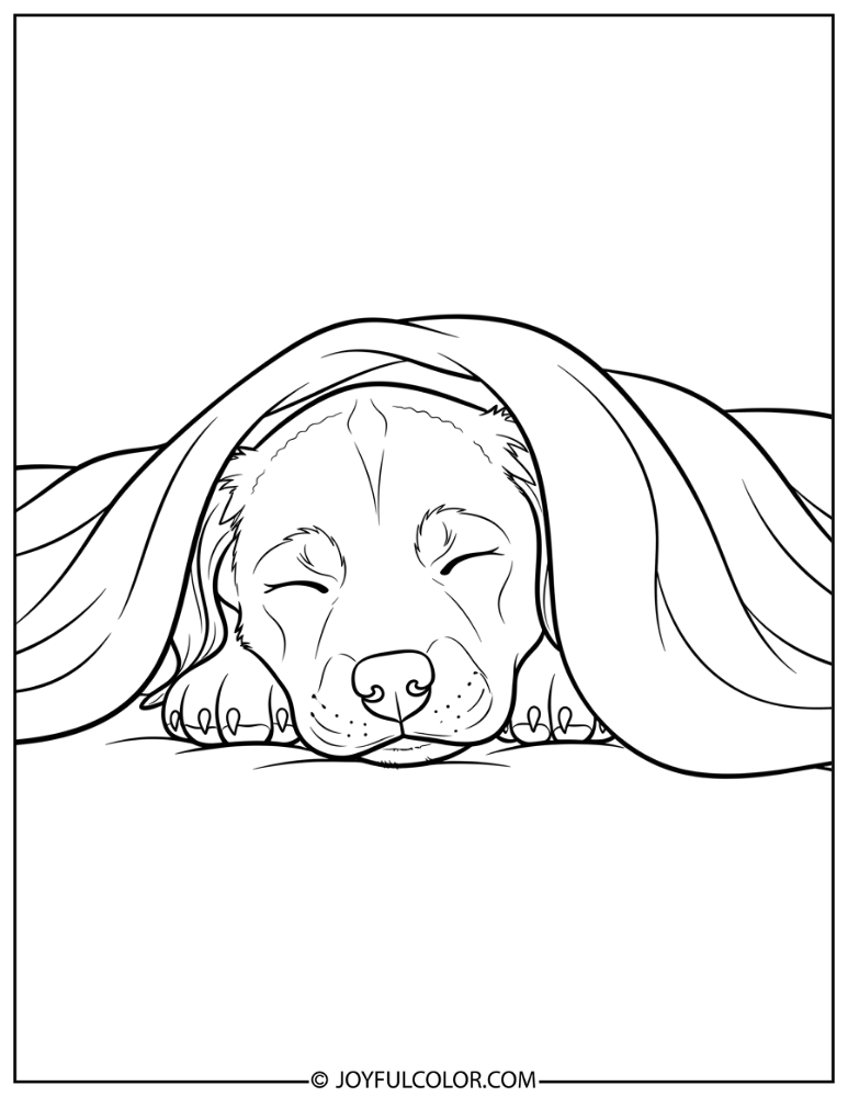 Puppy Sleeping with Blanket Coloring Page