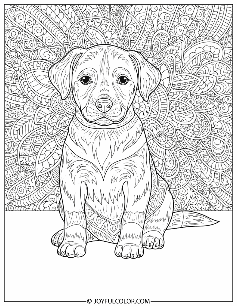 Puppy with Pattern Background Coloring Page