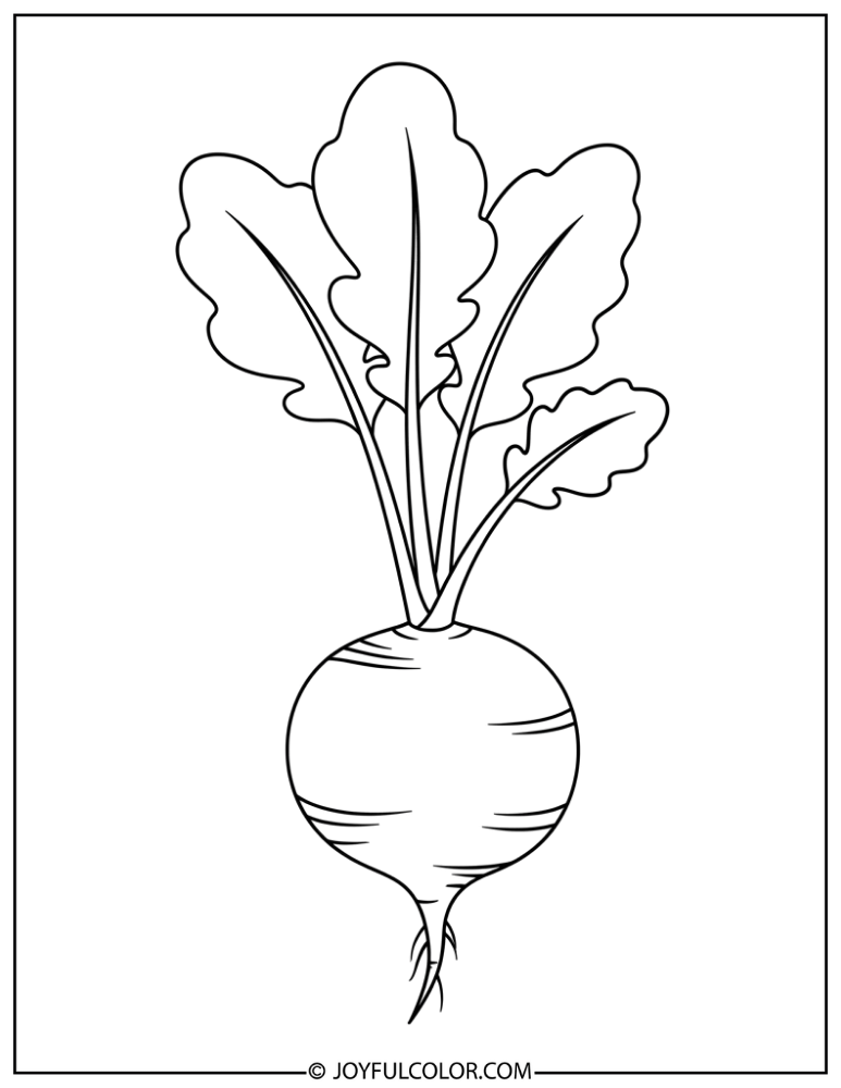 Radish Coloring Page