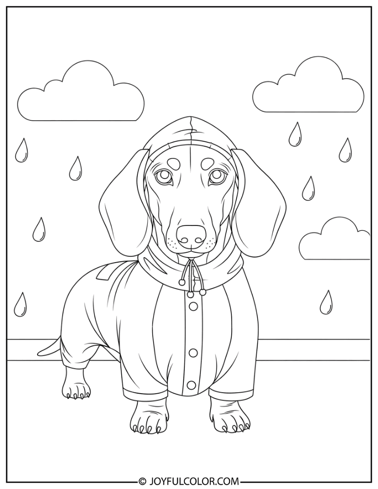 Raincoat Dachshund Coloring Page
