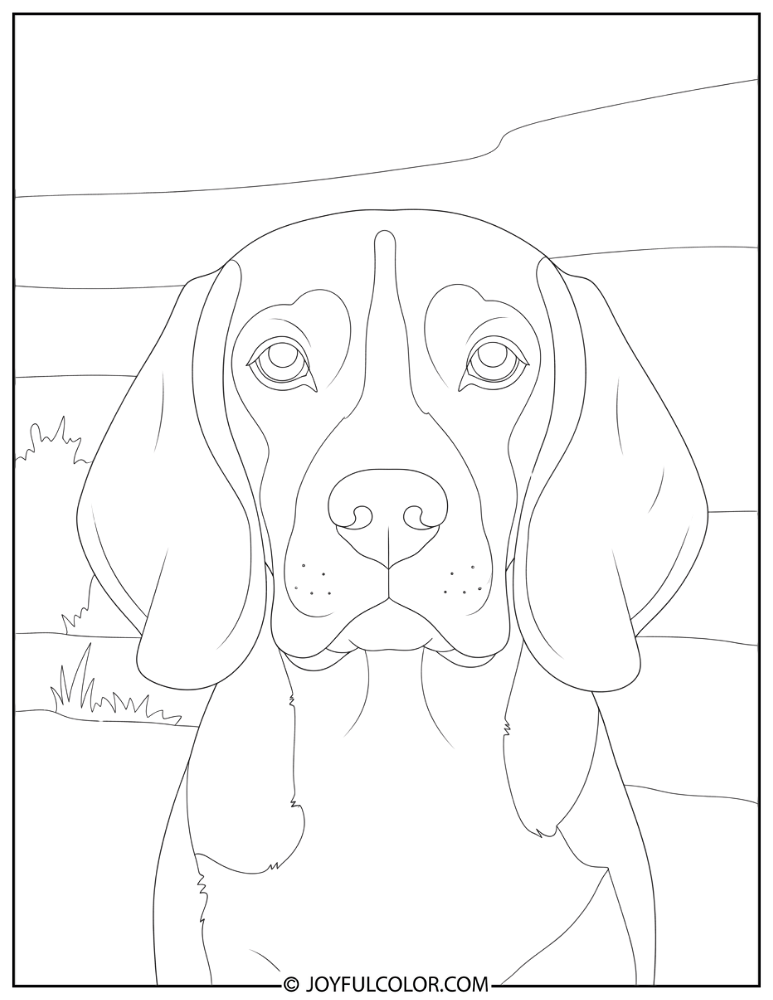 🐶 40+ Beagle Coloring Pages – FREE Printable Sheets for Dog Lovers!