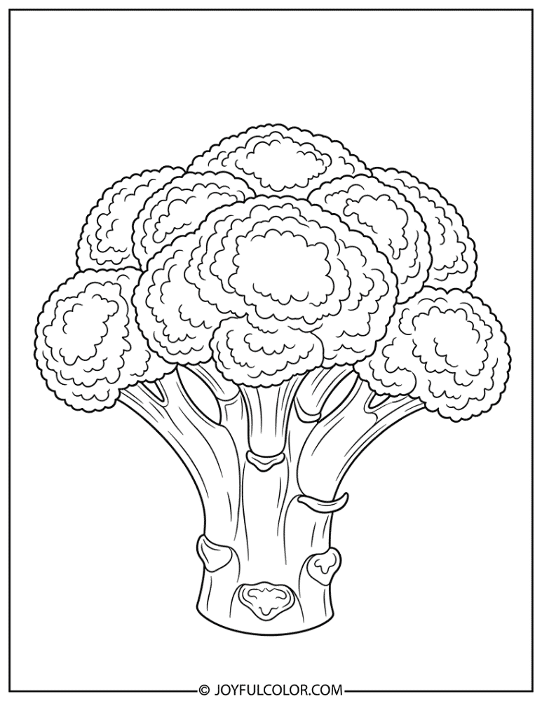 Realistic Broccoli Head Coloring Page