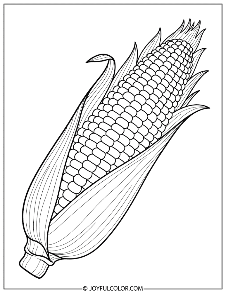 Realistic Corn with Husk Coloring Page