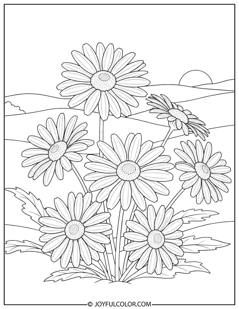 Realistic Daisy Coloring Page