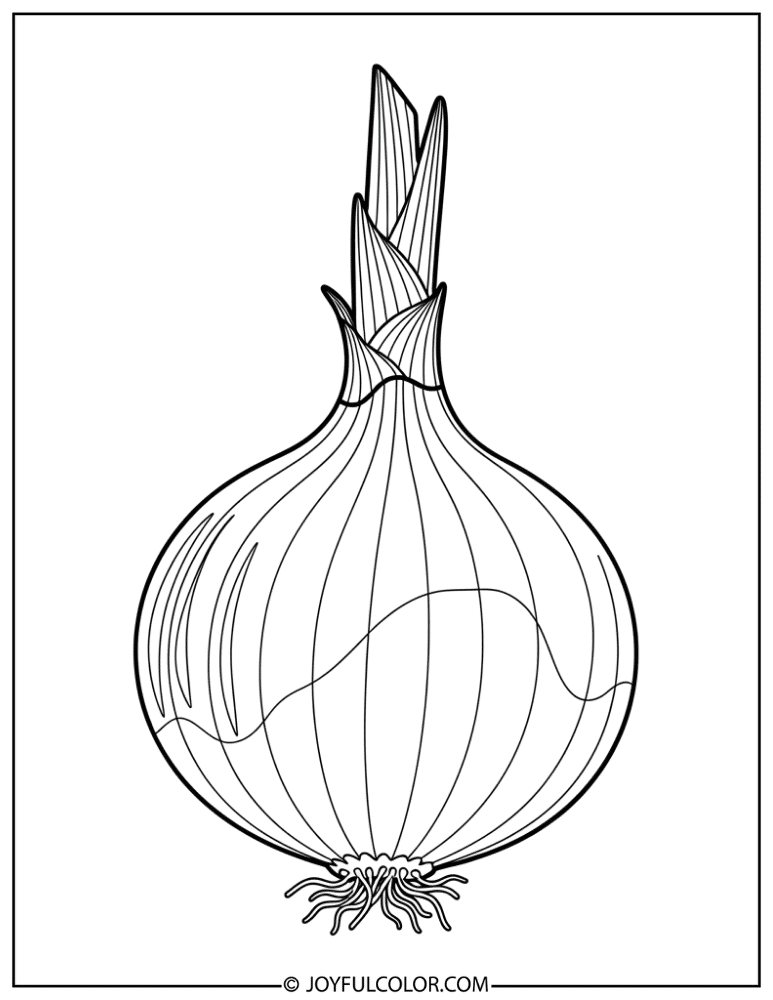 Realistic Onion Coloring Page