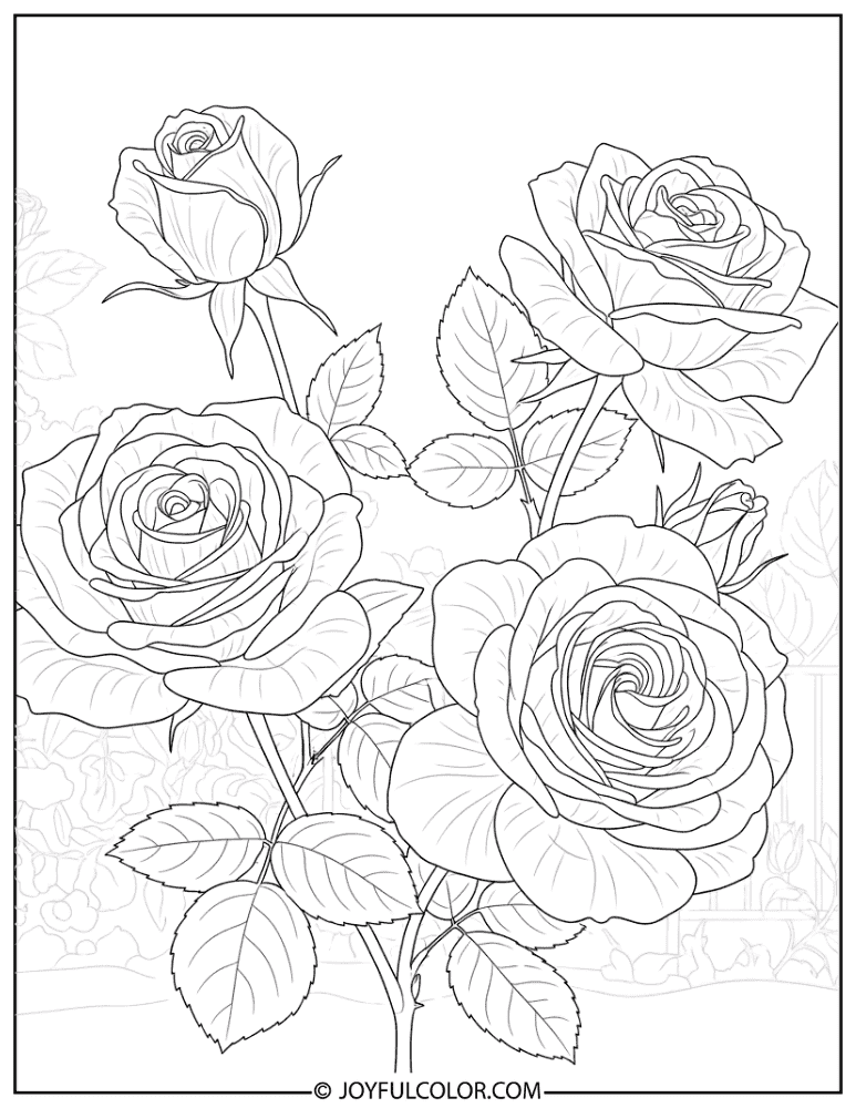 Realistic Rose Study Coloring Page