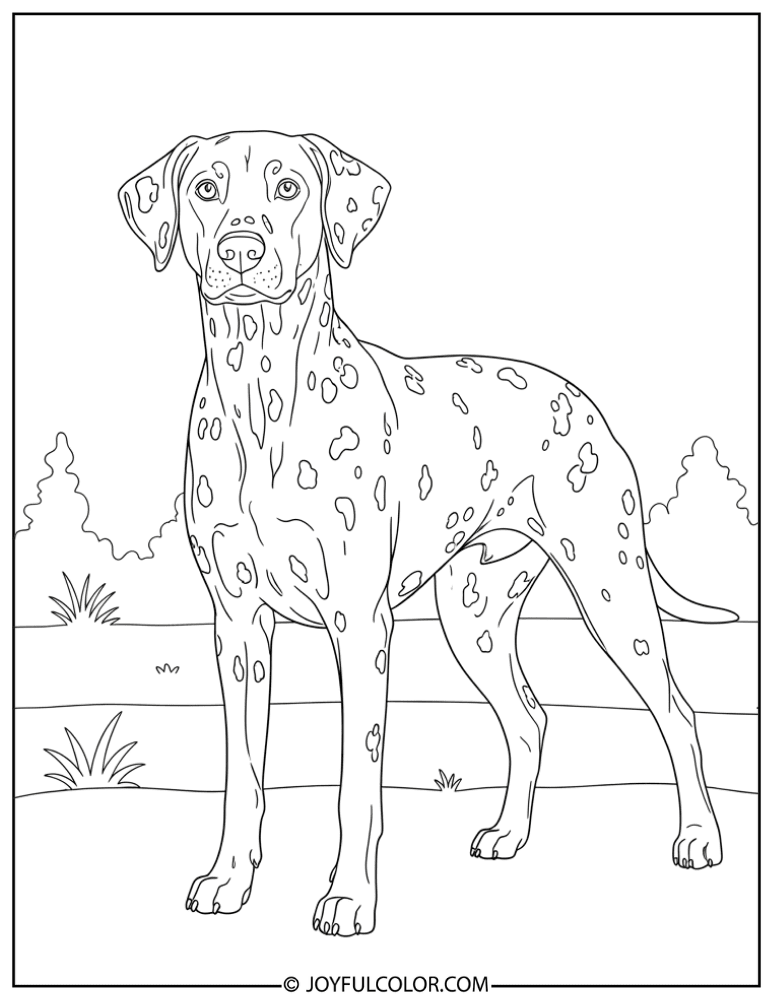 Realistic Standing Dalmatian Coloring Page