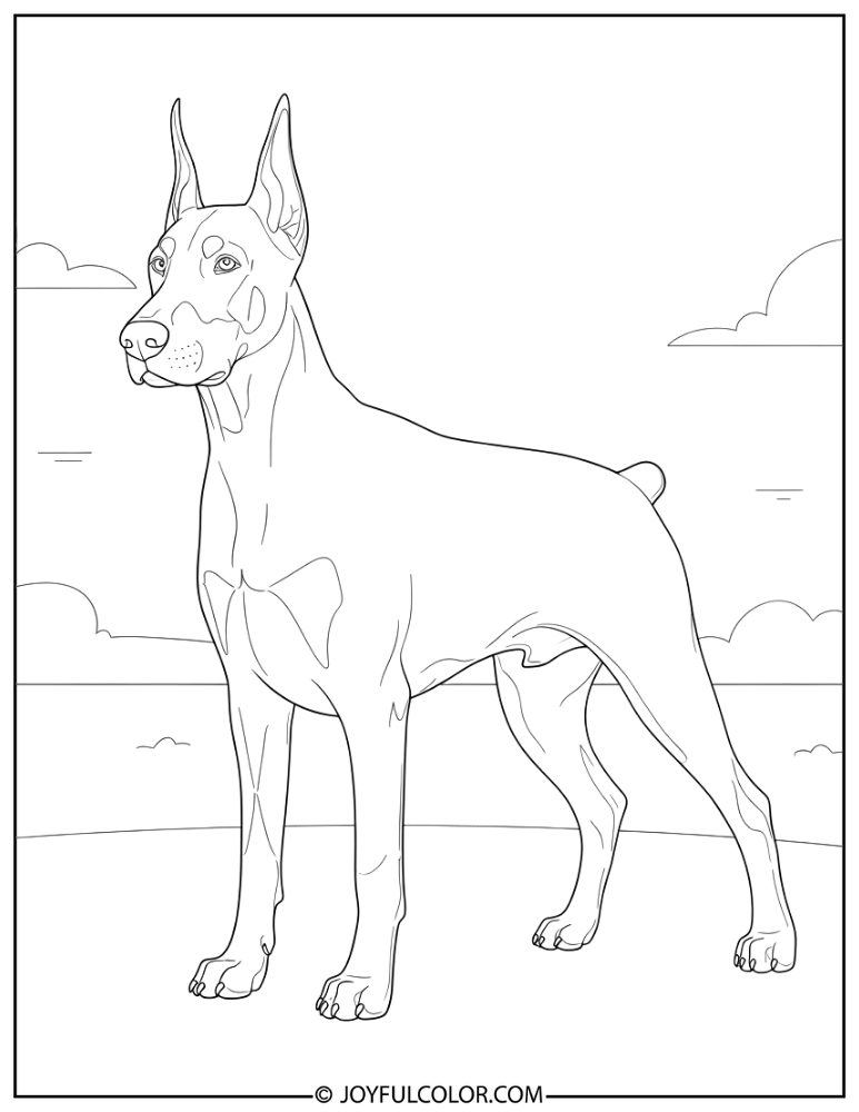 Realistic Standing Doberman Coloring Page