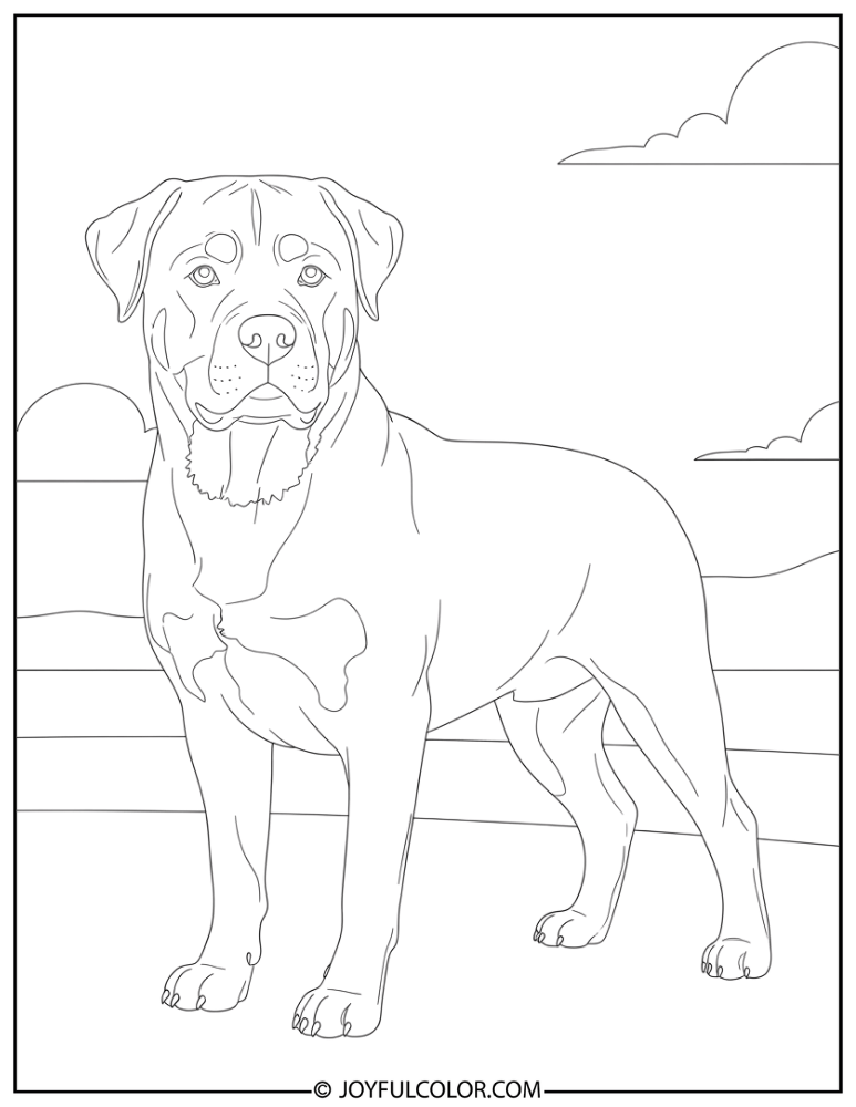 Realistic Standing Rottweiler Coloring Page