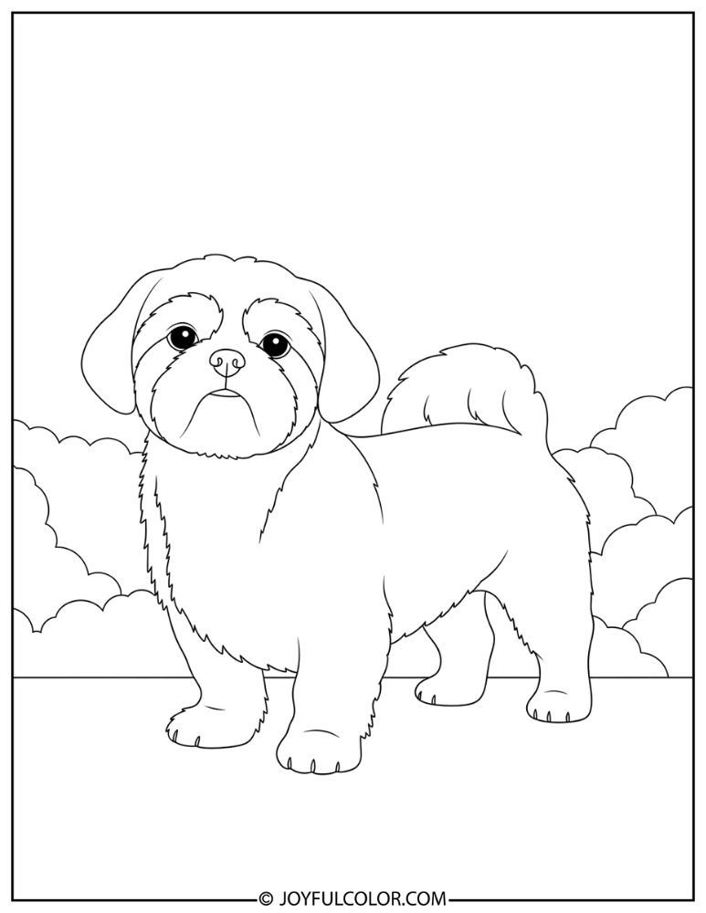 Realistic Standing Shih Tzu Coloring Page
