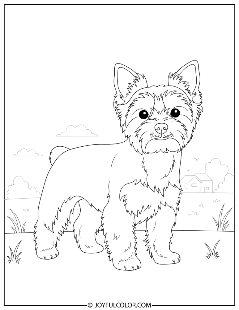 Realistic Standing Yorkie Coloring Page