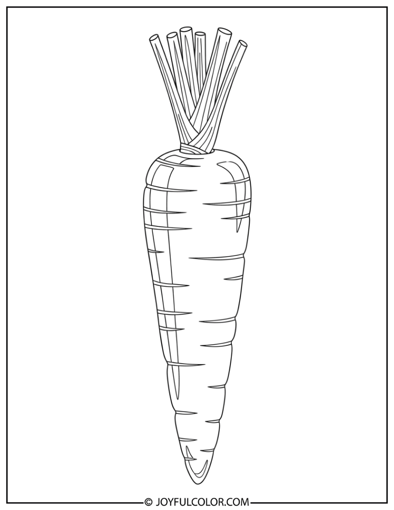 Realistic Whole Carrot Coloring Page