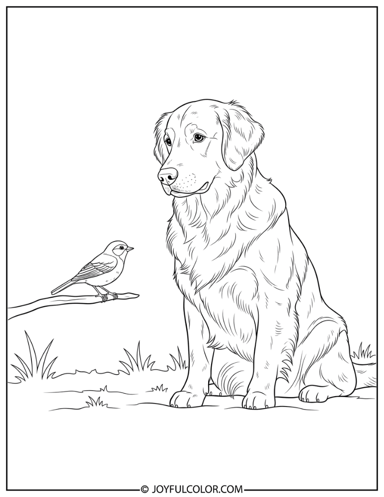 Retriever and Bird Coloring Page