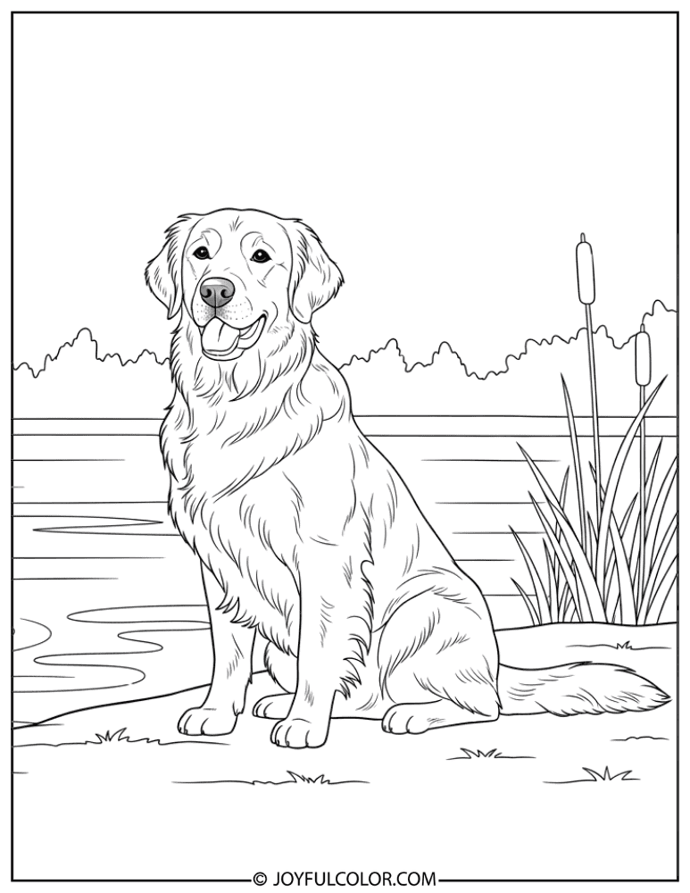 Retriever by Lake Coloring Page