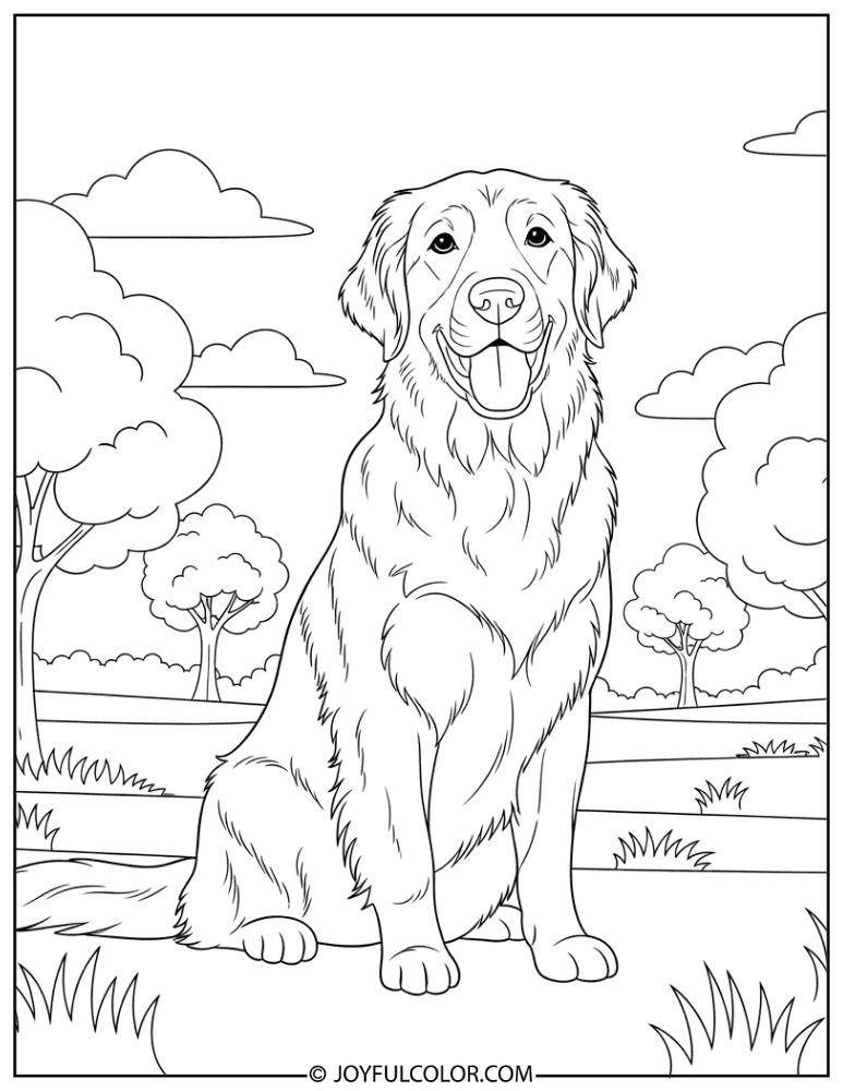 Retriever in Park Coloring Page