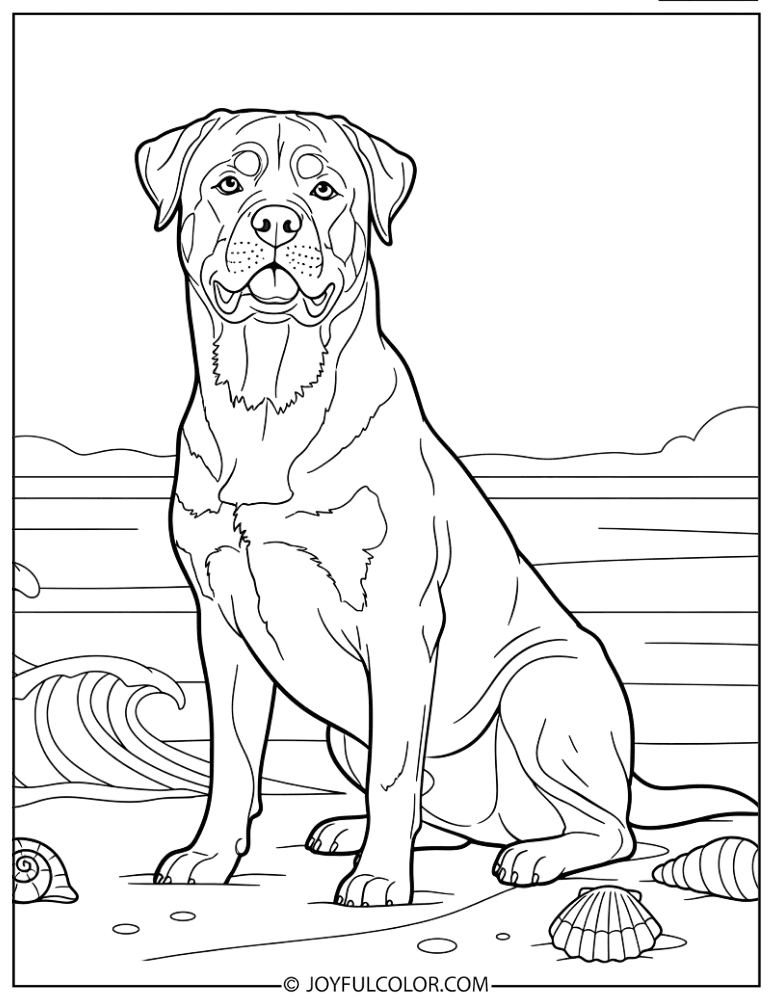 Rottweiler at Beach Coloring Page