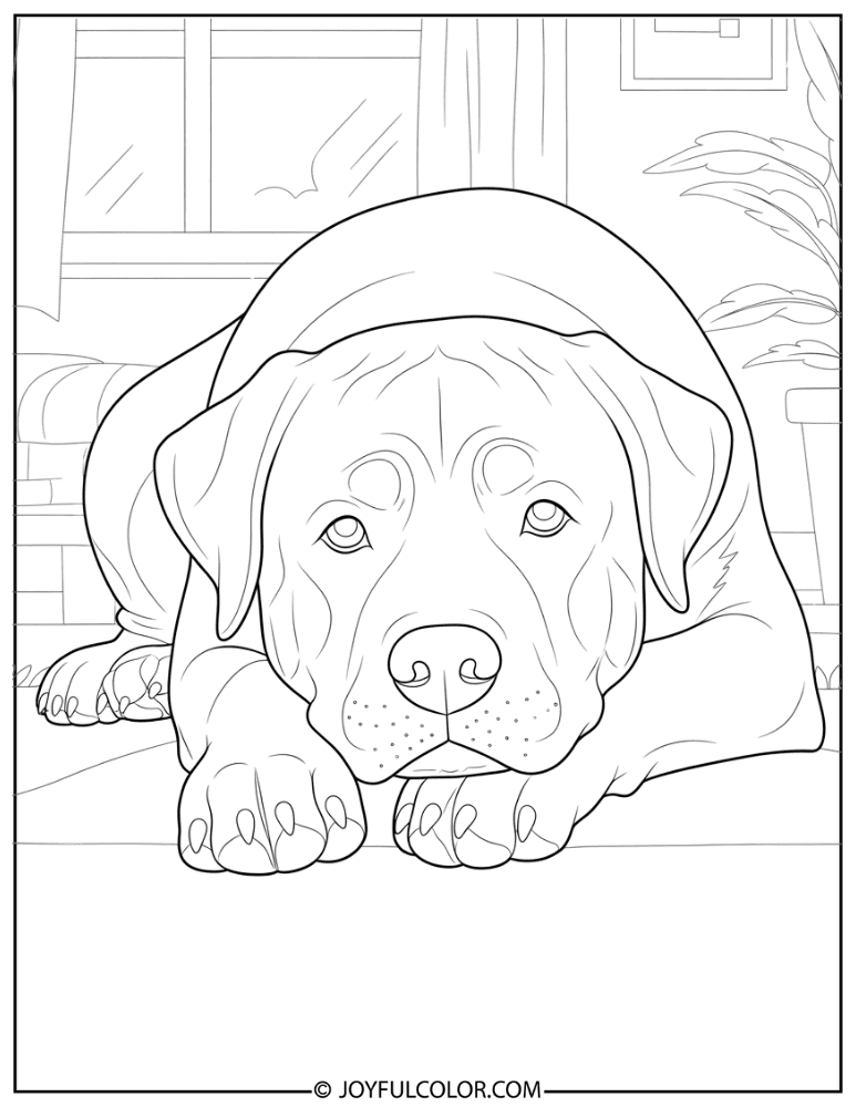 Rottweiler at Home Coloring Page