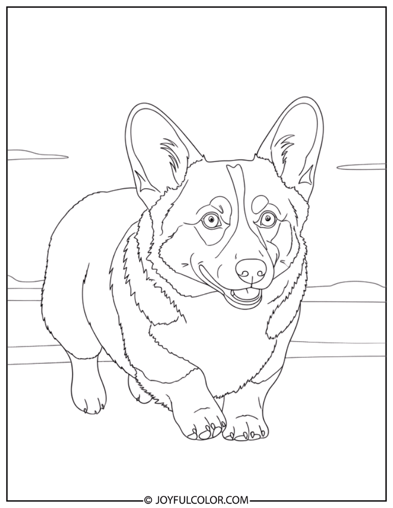 Running Corgi Coloring Page