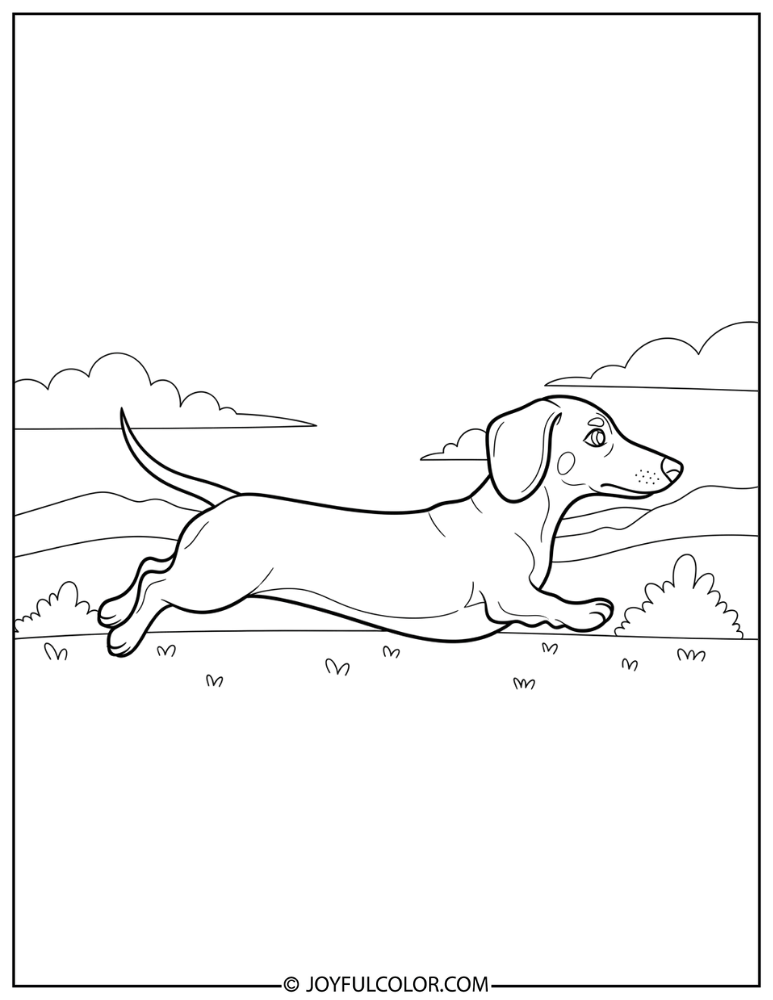 Running Dachshund Coloring Page
