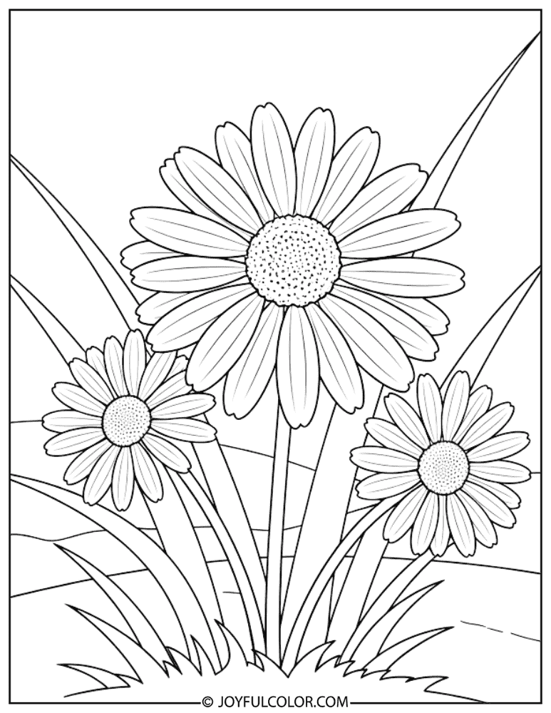 Scientific Daisy Illustration Coloring Page
