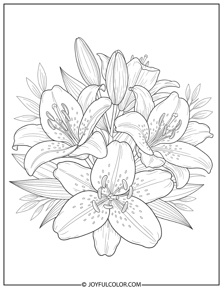Shaded Realistic Lily Coloring Page
