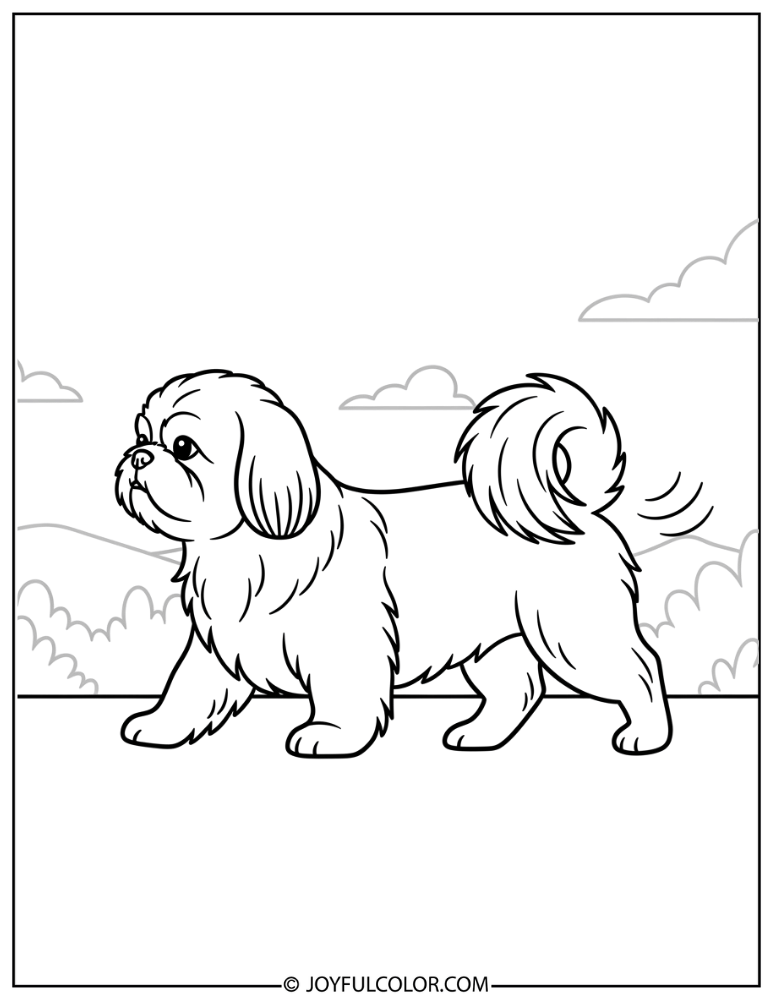 Shih Tzu Walking Outside Coloring Page
