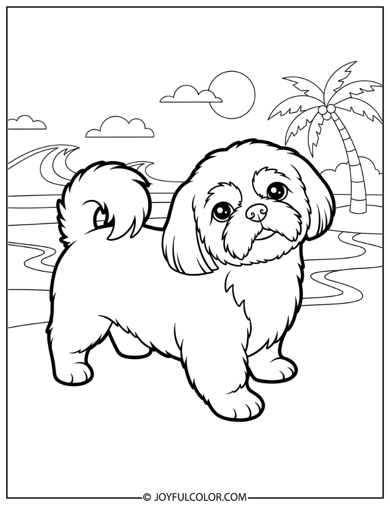 Shih Tzu at Beach Coloring Page
