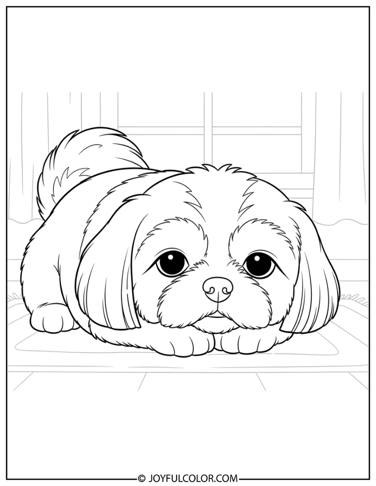 Shih Tzu at Home Coloring Page