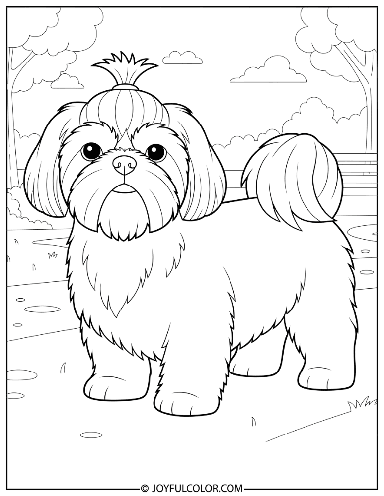 Shih Tzu in Park Coloring Page