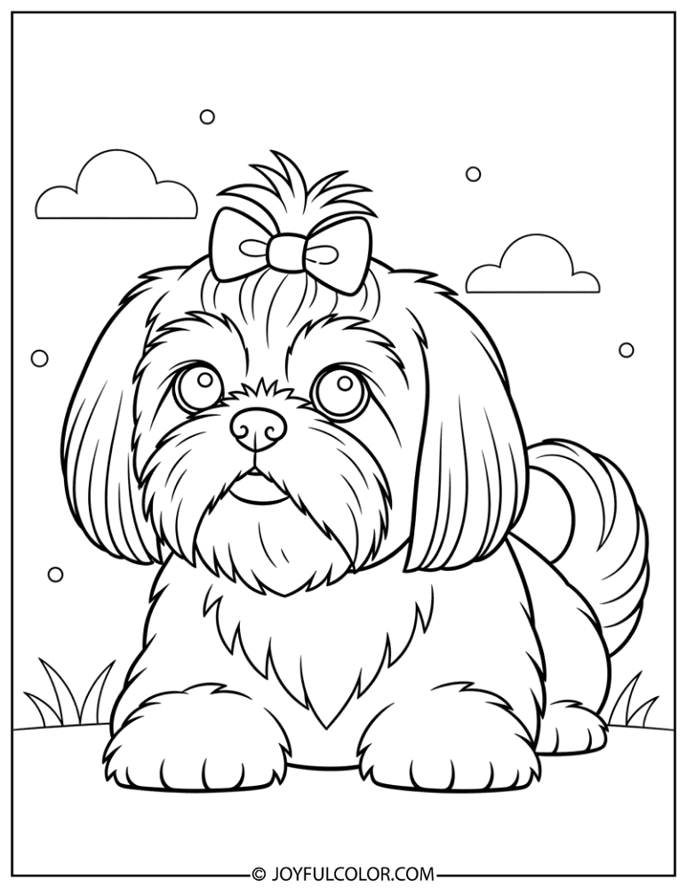 Shih Tzu with Bow Coloring Page