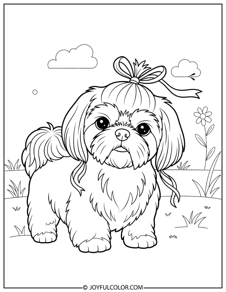 Shih Tzu with Ribbon Coloring Page